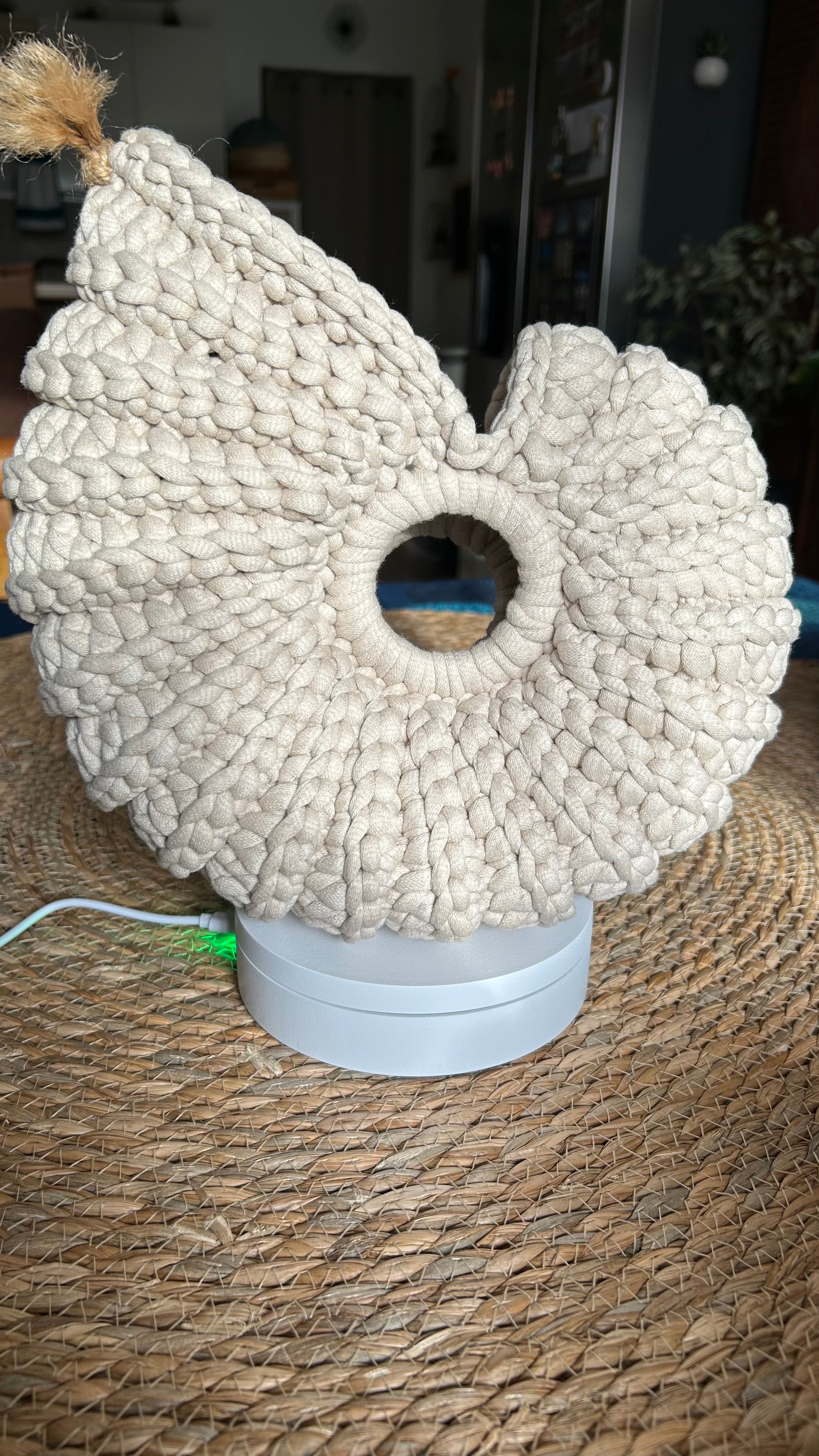 Le Nautilus – vide-poche coquillage